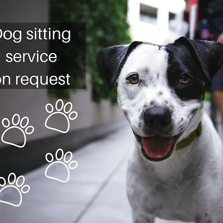 Hotel Shg Porro Pirelli 4*